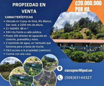 Venta de Propiedad en Copey de Dota