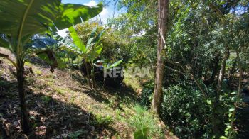 Raw Land for sale in Miravalles, Pérez Zeledón, San José, Costa Rica — photo 4