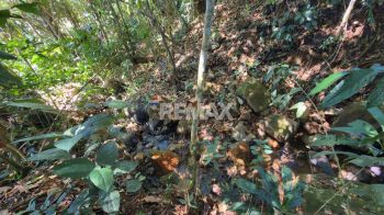 Raw Land for sale in Miravalles, Pérez Zeledón, San José, Costa Rica — photo 6
