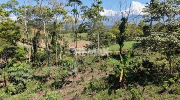 Terreno General en venta en Las Mercedes De Cajon, Pérez Zeledón, San José, Costa Rica — foto 2