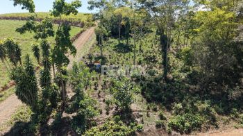 Terreno General en venta en Las Mercedes De Cajon, Pérez Zeledón, San José, Costa Rica — foto 3