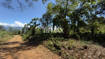 Terreno General en venta en Las Mercedes De Cajon, Pérez Zeledón, San José, Costa Rica — foto 5