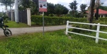Commercial Land for sale in El Tanque, San Carlos, Alajuela, Costa Rica — photo 5