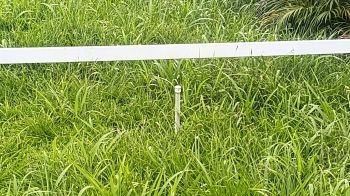 Commercial Land for sale in El Tanque, San Carlos, Alajuela, Costa Rica — photo 7