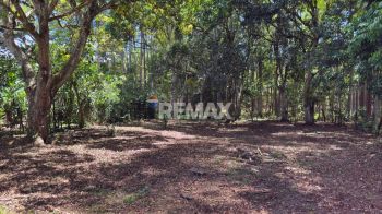 Lote en Venta en Las Juntas de Pacuar, Pérez Zeledón – 1,200 m² Plano y Listo pa