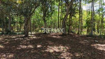 Raw Land for sale in Las Juntas De Pacuar, Pérez Zeledón, San José, Costa Rica — photo 4