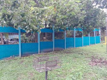 Two Houses For Sale in San Mateo