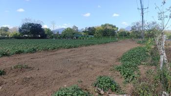 Commercial Land for sale in San Jorge De La Fortuna, San Carlos, Alajuela, Costa Rica — photo 6