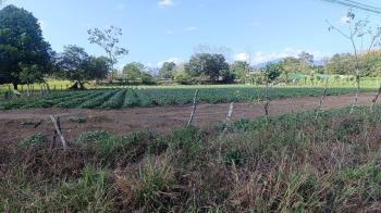 Commercial Land for sale in San Jorge De La Fortuna, San Carlos, Alajuela, Costa Rica — photo 7