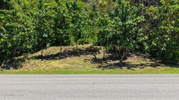 Raw Land for sale in Tawal, De Ciudad Cortes, Osa, Puntarenas, Costa Rica — photo 2