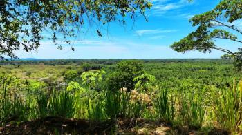 Raw Land for sale in Tawal, De Ciudad Cortes, Osa, Puntarenas, Costa Rica — photo 4