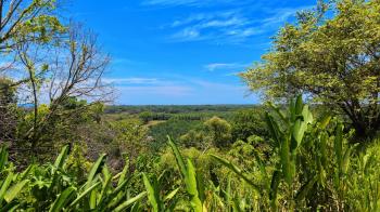 Raw Land for sale in Tawal, De Ciudad Cortes, Osa, Puntarenas, Costa Rica — photo 5