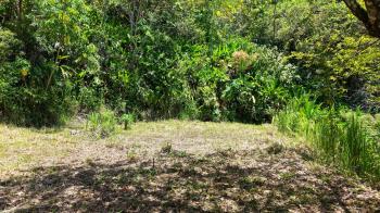 Raw Land for sale in Tawal, De Ciudad Cortes, Osa, Puntarenas, Costa Rica — photo 6