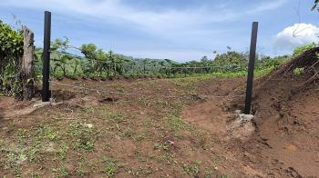 Terreno Comercial en venta en Morazán, Atenas, Alajuela, Costa Rica — foto 2