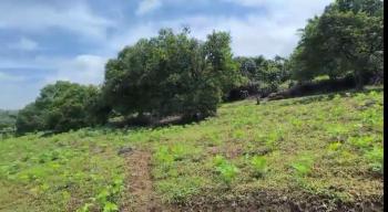 Terreno Comercial en venta en Morazán, Atenas, Alajuela, Costa Rica — foto 3