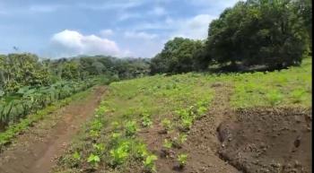 Terreno Comercial en venta en Morazán, Atenas, Alajuela, Costa Rica — foto 5