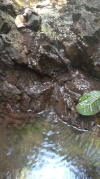 Finca para Ganadería en venta en La Palma De Mora, Puriscal, San José, Costa Rica — foto 2