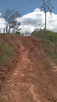 Finca para Ganadería en venta en La Palma De Mora, Puriscal, San José, Costa Rica — foto 3