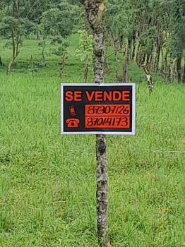 Hermoso Terreno en el Silencio de Tilarán Plano Con Disponibilidad de Luz y Agua
