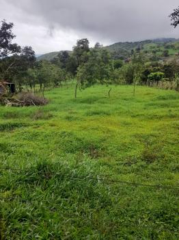 Terreno Para Vivienda en venta en El Silencio De Tilarán, Tilarán, Guanacaste, Costa Rica — foto 3