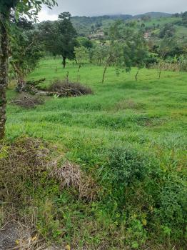Terreno Para Vivienda en venta en El Silencio De Tilarán, Tilarán, Guanacaste, Costa Rica — foto 5