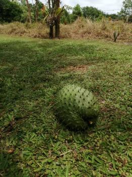 Casa una Planta en venta en Quintas Beula, San Bernardino, Rio Frio, Sarapiquí, Heredia, Costa Rica — foto 13
