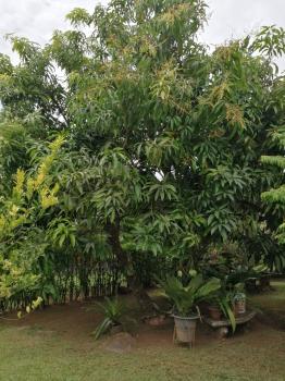 Casa una Planta en venta en Quintas Beula, San Bernardino, Rio Frio, Sarapiquí, Heredia, Costa Rica — foto 14