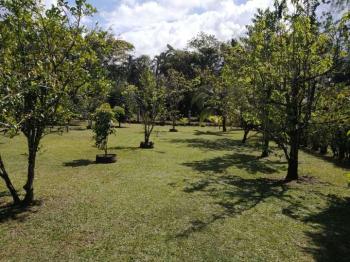 Casa una Planta en venta en Quintas Beula, San Bernardino, Rio Frio, Sarapiquí, Heredia, Costa Rica — foto 17