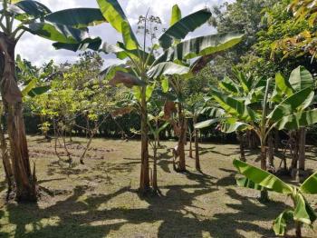 Casa una Planta en venta en Quintas Beula, San Bernardino, Rio Frio, Sarapiquí, Heredia, Costa Rica — foto 20