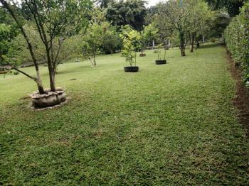 Casa una Planta en venta en Quintas Beula, San Bernardino, Rio Frio, Sarapiquí, Heredia, Costa Rica — foto 23