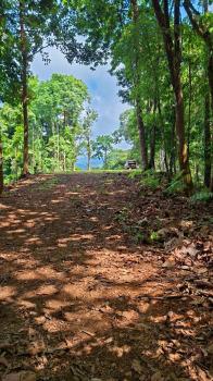 Terreno Para Vivienda en venta en Uvita, Osa, Puntarenas, Costa Rica — foto 2