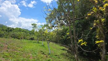 Finca para Agricultura en venta en San Antonio, Garabito, Puntarenas, Costa Rica — foto 3