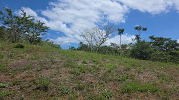 Finca para Agricultura en venta en San Antonio, Garabito, Puntarenas, Costa Rica — foto 4