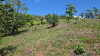 Finca para Agricultura en venta en San Antonio, Garabito, Puntarenas, Costa Rica — foto 5