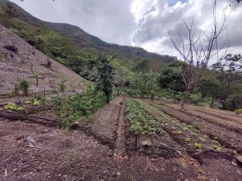 Terreno General en venta en Salitral, Santa Ana, San José, Costa Rica — foto 5