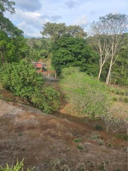 Terreno Para Vivienda en venta en Rosario, Naranjo, Alajuela, Costa Rica — foto 2