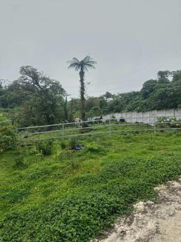 Fincas Uso Mixto en venta en Vásquez De Coronado, Vázquez de Coronado, San José, Costa Rica — foto 2