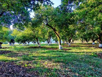 Mixed Use Land for sale in San Jerónimo, Esparza, Puntarenas, Costa Rica — photo 2