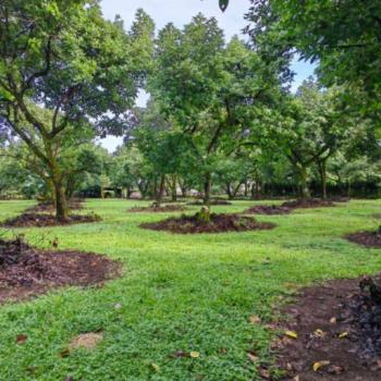 Mixed Use Land for sale in San Jerónimo, Esparza, Puntarenas, Costa Rica — photo 3