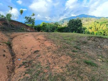Terreno General en venta en Quebradas, Pérez Zeledón, San José, Costa Rica — foto 1