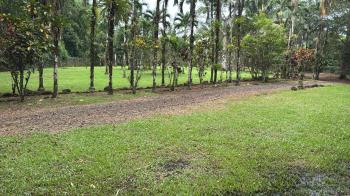 Casa una Planta en venta en Valle Azul, San Ramón, Alajuela, Costa Rica — foto 6