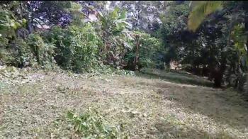 Lote en Coyolar Orotina