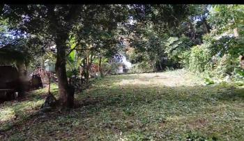 Terreno Para Vivienda en venta en Coyolar, Barrio Corazon De María, Orotina, Alajuela, Costa Rica — foto 2
