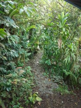 Terreno Para Vivienda en venta en Los Angeles, Rivas, Pérez Zeledón, San José, Costa Rica — foto 5