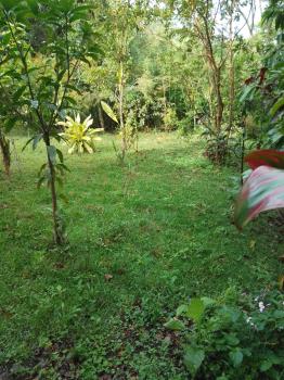 Terreno Para Vivienda en venta en Los Angeles, Rivas, Pérez Zeledón, San José, Costa Rica — foto 7