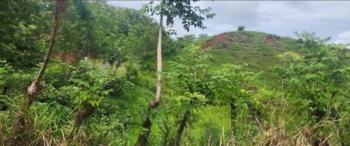 Se Vende Bella y Útil Finca Ganadera en Jacó, Puntarenas