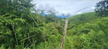 Finca para Ganadería en venta en Quebrada Amarilla, Garabito, Puntarenas, Costa Rica — foto 2