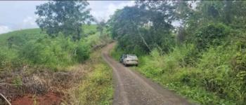 Finca para Ganadería en venta en Quebrada Amarilla, Garabito, Puntarenas, Costa Rica — foto 4