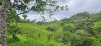 Finca para Ganadería en venta en Quebrada Amarilla, Garabito, Puntarenas, Costa Rica — foto 5