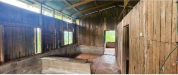 Finca para Ganadería en venta en Quebrada Amarilla, Garabito, Puntarenas, Costa Rica — foto 6